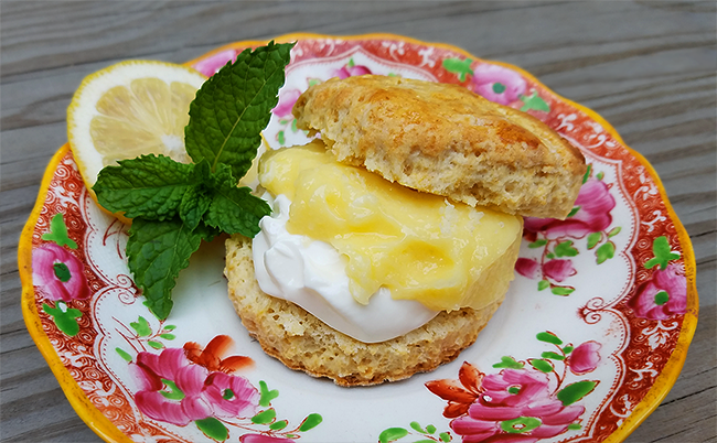 Lemon Curd & Cream Scones