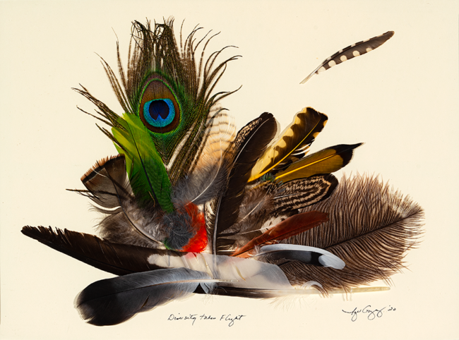 Inger Gregory, Diversity Takes Flight, Assemblage 12 x 16 inches