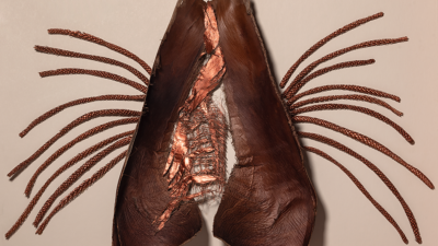 Walking in Beauty, Shadow Box – Louise Profeit-LeBlanc