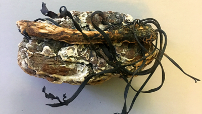 Refugee, Belinda K Hill