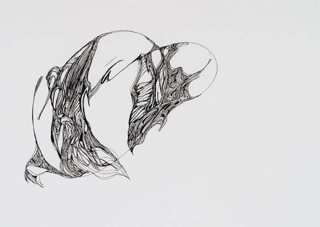 One Thin Line, by Donna Denize, pen and ink, 14 x 17 inches