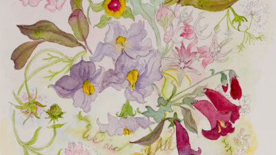 We are All Flowers of One Garden by Elaine Phillips from Seeing Oneness, Watercolor, pencil on paper, 10 x 14 inches