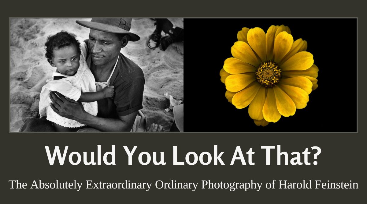 Would You Look At That? The Absolutely Extraordinary Ordinary Photography of Harold Feinstein, May 10th - 12th 2024