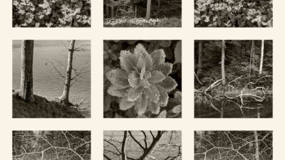 Visual Meditations in Nature I by Glenn Scott Egli, Digital Color Photography, Nonatych, 11 x 11 inches