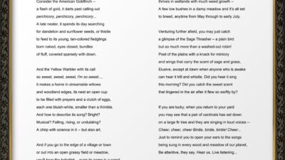 “In Praise of Backyard Birds: A Prayer for Species Preservation” by Dr. Sandra Lynn Hutchison from “One Shared Earth,” Poetry