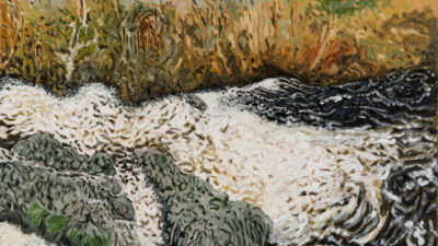 The Salmon Falls Out the Studio Window “The Salmon Falls Out the Studio Window” by Stephen Josef Brandon from “One Shared Earth,” Oil on Canvas, 30 x 40 inches