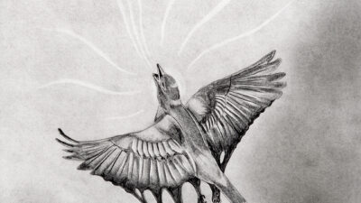 “Ye are even as the bird...” by Philip Featherstone Blyth, Graphite & Charcoal on Paper, 18 x 24 inches