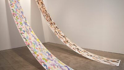 Mike Solomon, Wayfarer Project.1