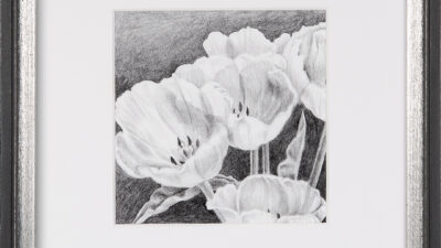Karen M.A. Renna, Tulips-Grace against the Wind, Graphite on paper, 6 x 6 inches